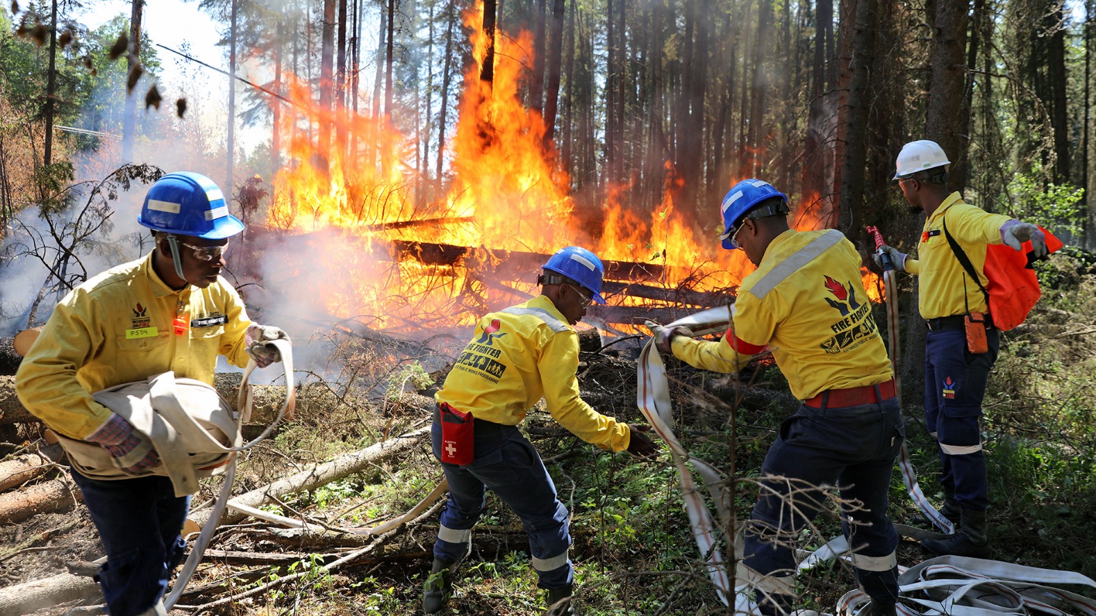 Bombeiros apagando fogo