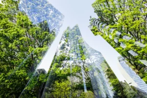 Imagen de árboles reflejados en edificios