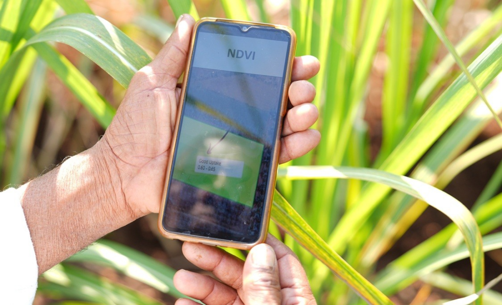 Nos arredores da aldeia de Nimbut, em Maharashtra, o agricultor Suresh Jagtap verifica seu aplicativo Agripilot.ai. Um mapa de satélite de sua fazenda mostra diferentes tons de verde denotando a saúde da vegetação. Foto de Selvaprakash Lakshmanan para Microsoft.